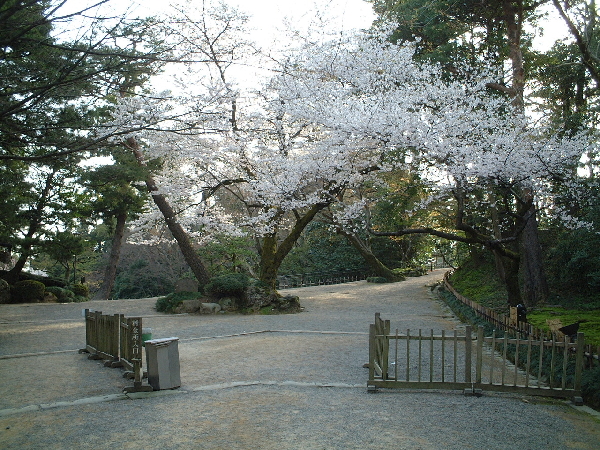 2002-04-02_07-24-45.jpg