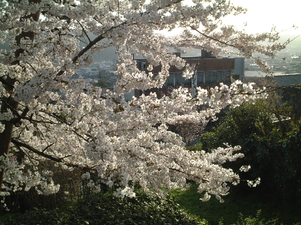 2002-04-03_07-10-20.jpg