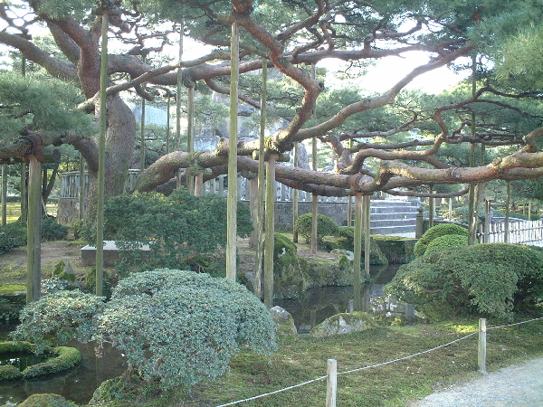 2002-04-03_07-12-28.jpg