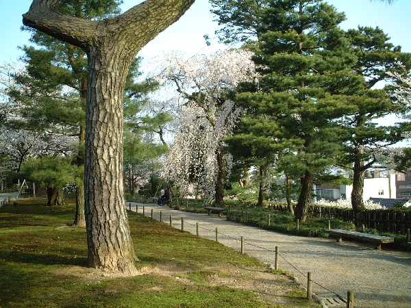 2002-04-03_07-19-39.jpg
