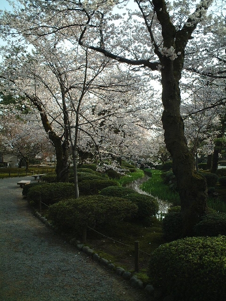 2002-04-04_xx-n0023.jpg