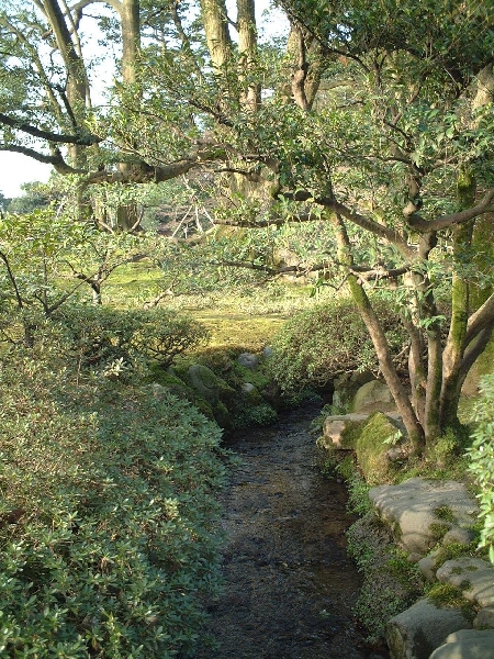 2002-04-04_xx-n0064.jpg