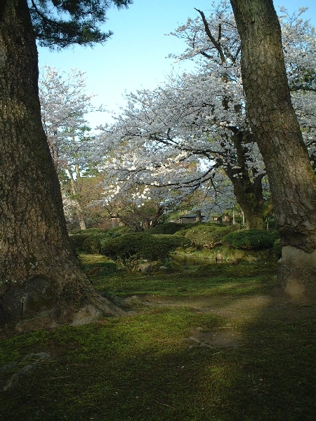 2002-04-04_xx-n0080.jpg