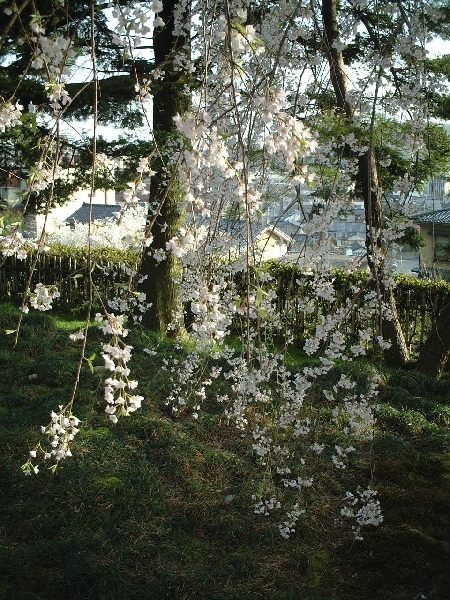 2002-04-04_xx-n0094.jpg