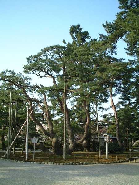 2002-04-04_xx-n0104.jpg
