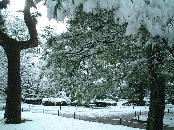 2003-12-27_10-57-08.jpg
