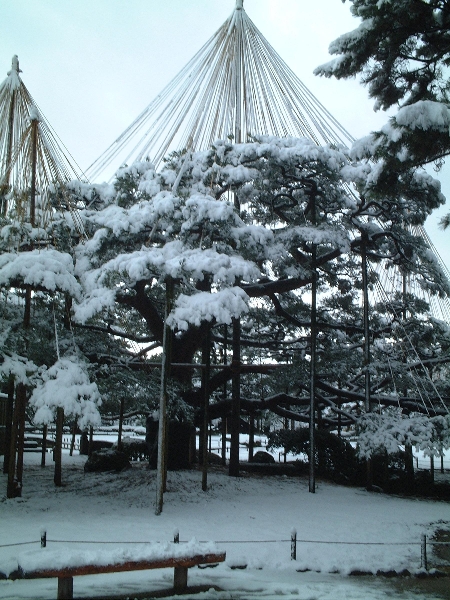 2003-12-27_x-10.jpg