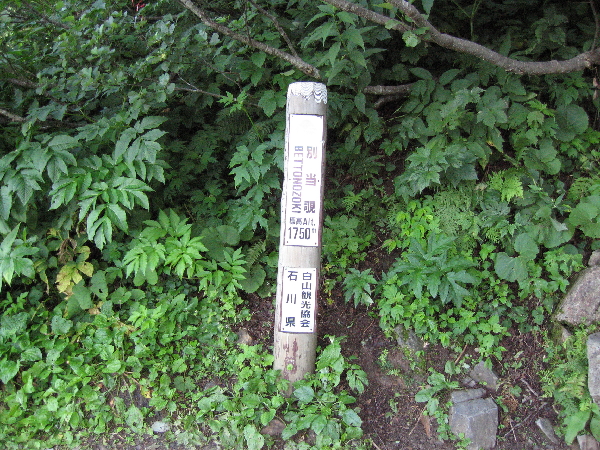 2005-08-02_07-33-17.jpg
