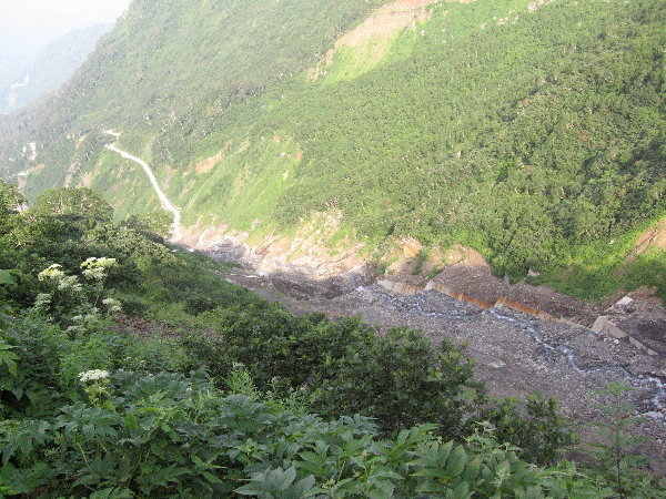 2005-08-02_07-33-52.jpg