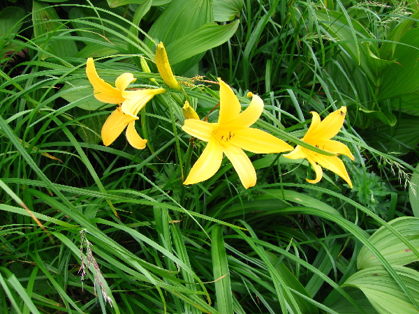 2005-08-02_09-10-38.jpg