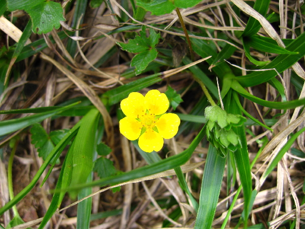 2005-08-02_09-37-33.jpg