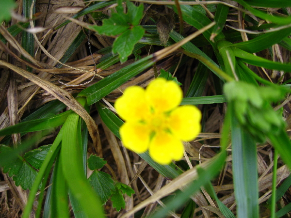 2005-08-02_09-37-45.jpg
