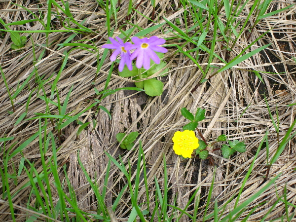 2005-08-02_09-38-28.jpg