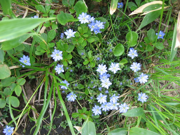 2005-08-02_09-40-18.jpg