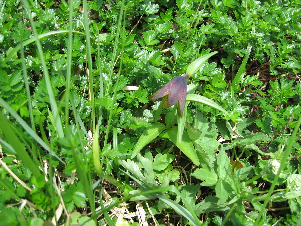2005-08-02_09-49-47.jpg
