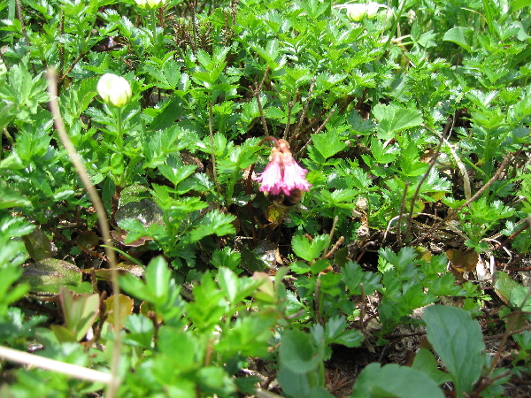 2005-08-02_09-49-56.jpg