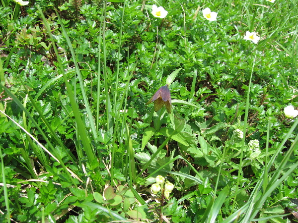 2005-08-02_09-50-29.jpg