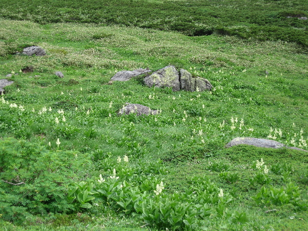 2005-08-02_10-05-25.jpg