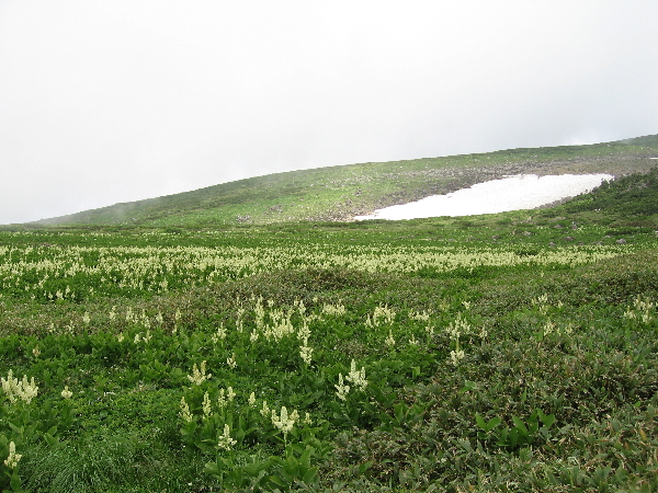2005-08-02_10-09-15.jpg