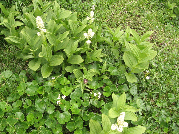 2005-08-02_10-13-31.jpg