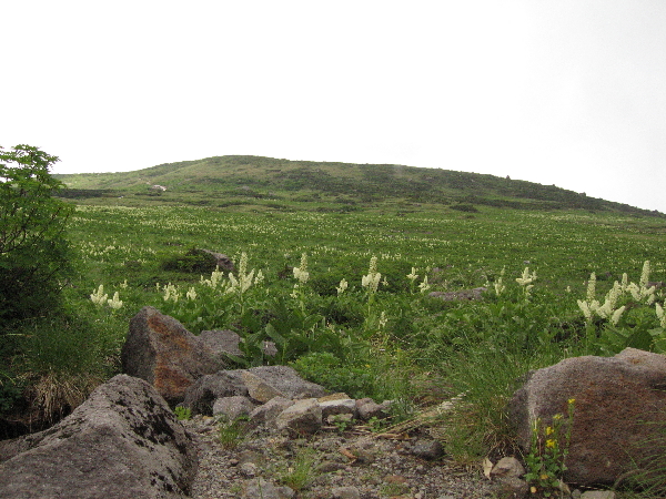 2005-08-02_10-14-54.jpg
