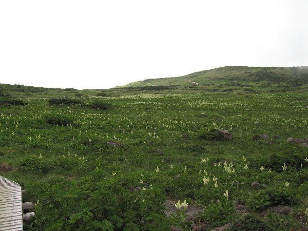 2005-08-02_10-15-10.jpg