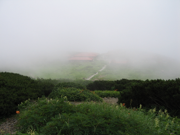 2005-08-02_11-26-22.jpg