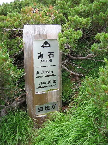 2005-08-02_11-35-06.jpg