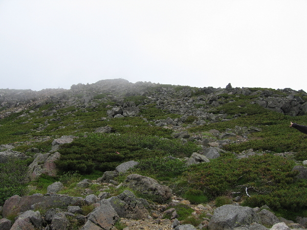 2005-08-02_11-54-19.jpg