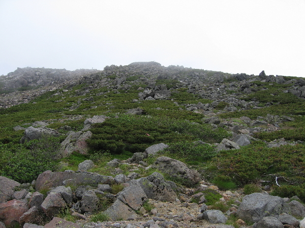 2005-08-02_11-54-24.jpg