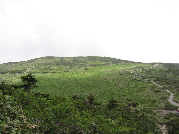 2005-08-02_13-41-05.jpg