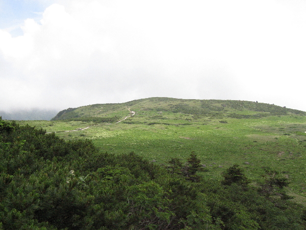 2005-08-02_13-41-23.jpg
