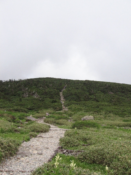 2005-08-02_13-46-43.jpg