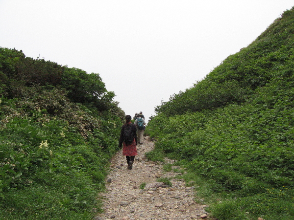 2005-08-02_14-02-03.jpg