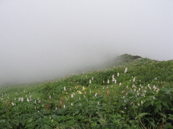 2005-08-02_14-06-38.jpg