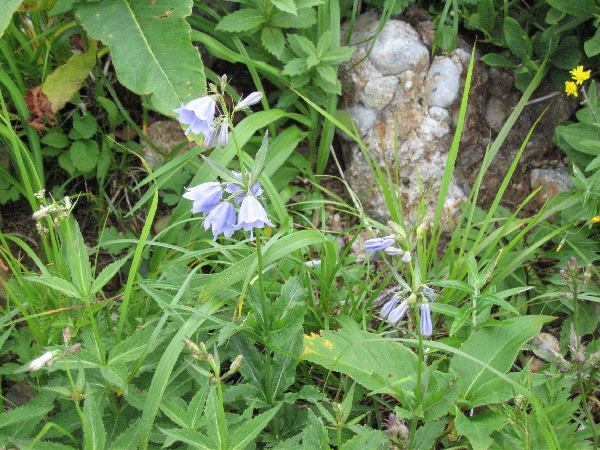 2005-08-02_14-07-14.jpg