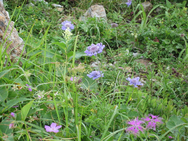 2005-08-02_14-07-24.jpg