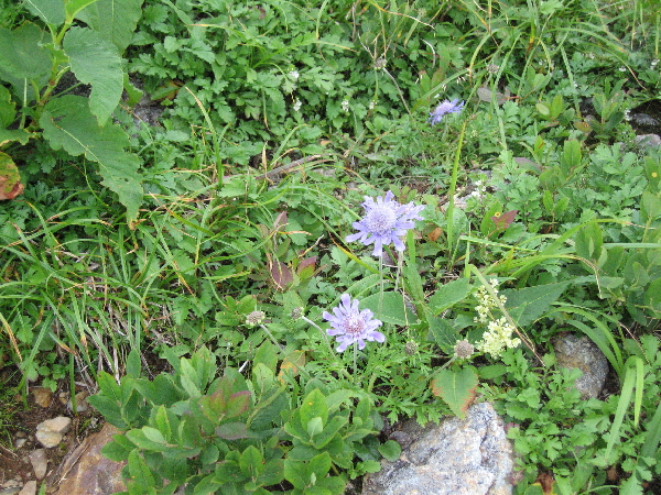 2005-08-02_14-08-05.jpg