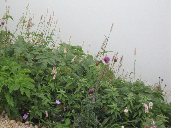 2005-08-02_14-08-17.jpg