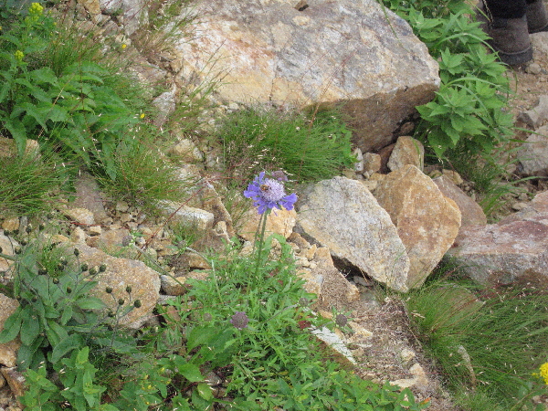 2005-08-02_14-10-14.jpg