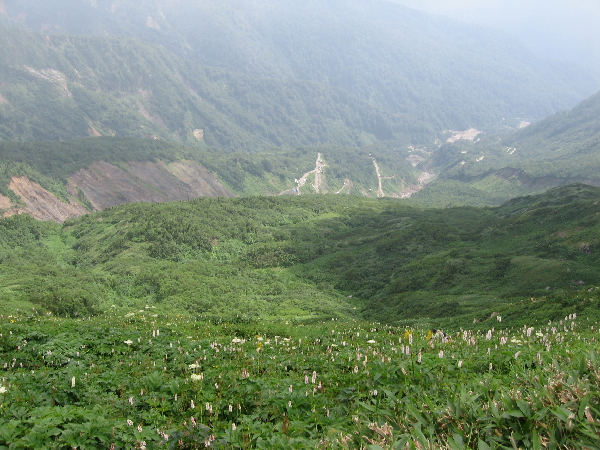 2005-08-02_14-19-41.jpg