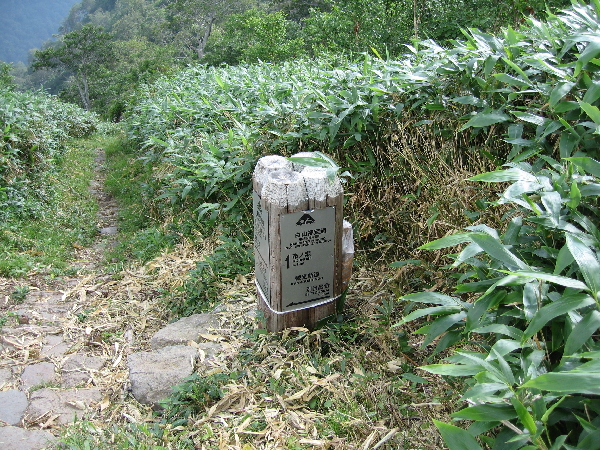2005-08-02_15-36-18.jpg