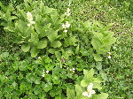 2005-08-02_10-13-31