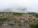2005-08-02_11-43-12