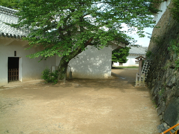 2002-05-05_15-31-18.jpg
