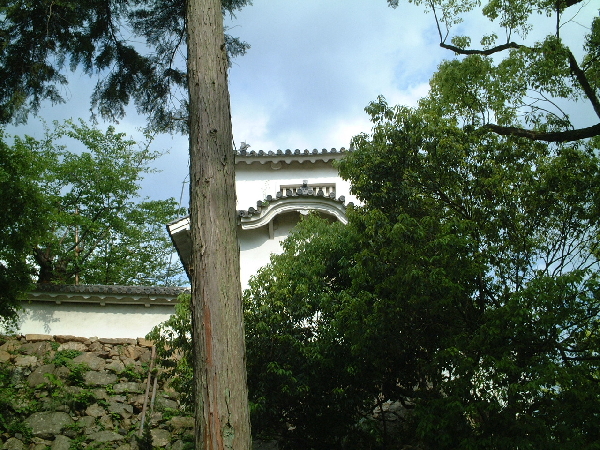 2002-05-05_15-53-33.jpg