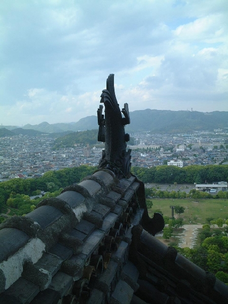unknown-01.jpg
