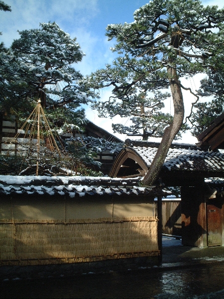 2003-12-27_x-12.jpg