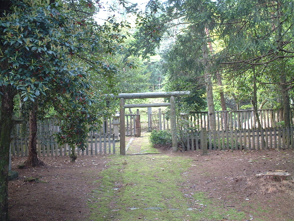 2003-05-05_08-44-05.jpg