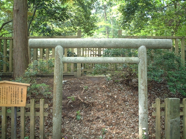 2003-05-05_xx-n059.jpg